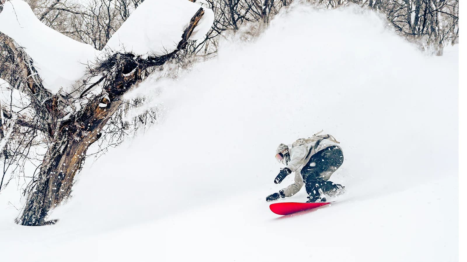 Niseko Powder Snow: The Science Behind the Best Snow in the World